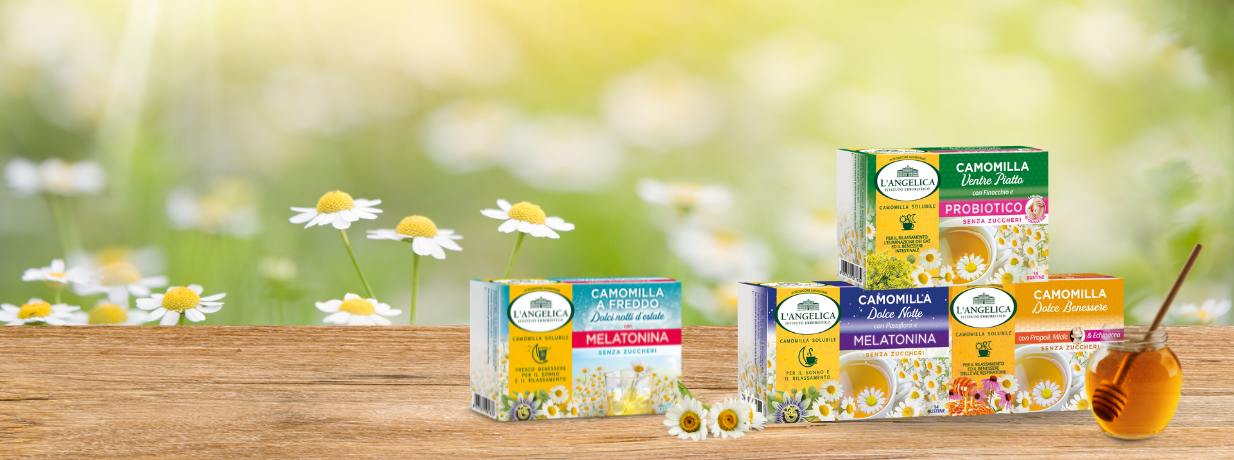 Chamomile Chamomile