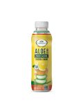 Aloe Drink - Gusto Zenzero e Limone