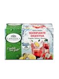 Tisana a Freddo Sgonfiante Digestiva