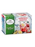 Tisana a Freddo Sgonfiante Digestiva