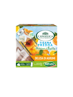 Tisana a Freddo Delizia di Agrumi