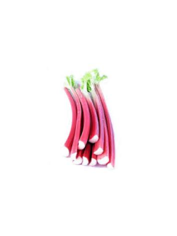 Rhubarb