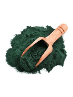 Alga Spirulina