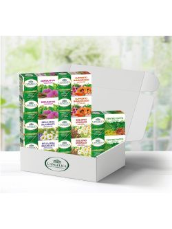 WELL-BEING RECIPE BOX 
