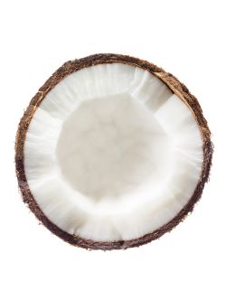 Coconut