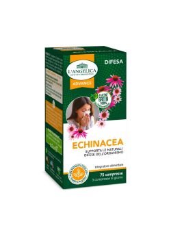Echinacea - Immune System Supplement