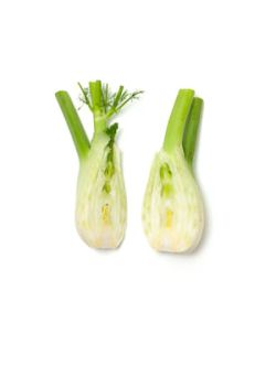 Fennel