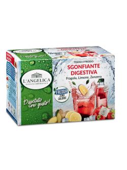 Tisana a Freddo Sgonfiante Digestiva