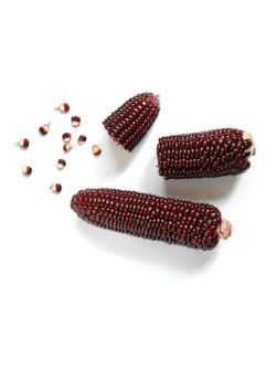 Red corn