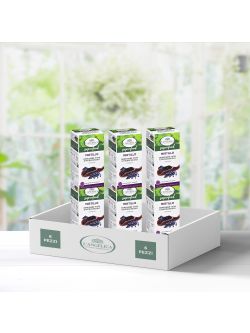 MULTIPACK - 6 ITEMS BLUEBERRY SUPERFOOD SUPPLEMENT -30%.