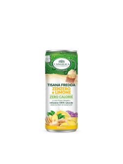 Tisana a Freddo Drena Detox