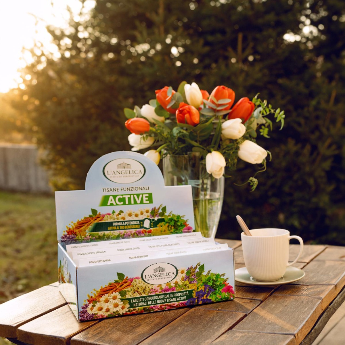 Cofanetto Tisane Funzionali Active 