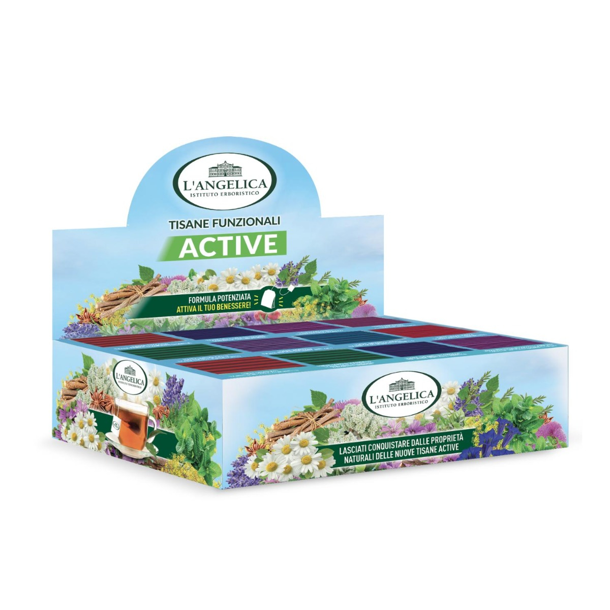 Cofanetto Tisane Funzionali Active 