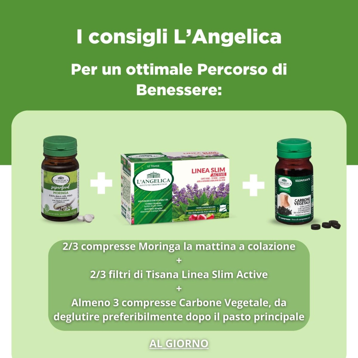 Kit Linea