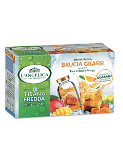 Tisana a Freddo Brucia Grassi