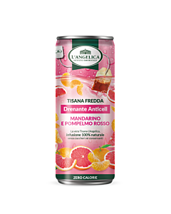 Tisana a Freddo Drenante Anticell in Lattina