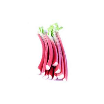 Rhubarb