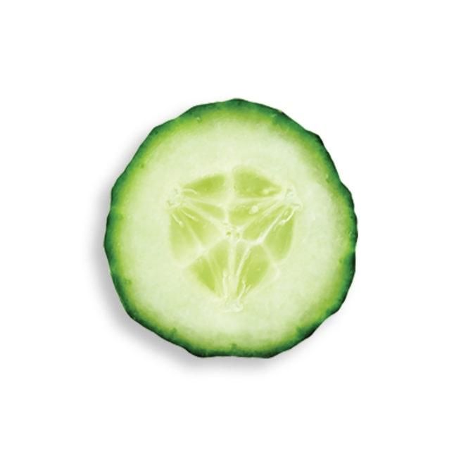 Cucumber