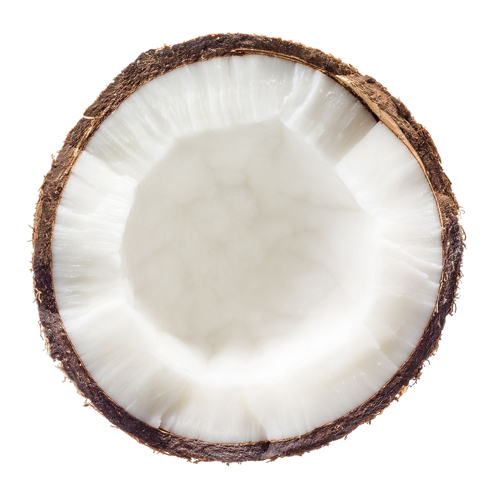 Coconut