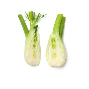 Fennel