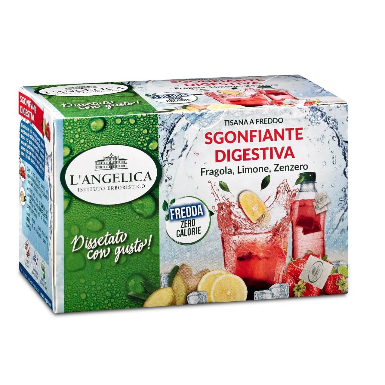 Tisana a Freddo Sgonfiante Digestiva