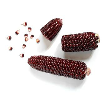 Red corn