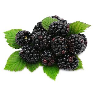 Blackberry