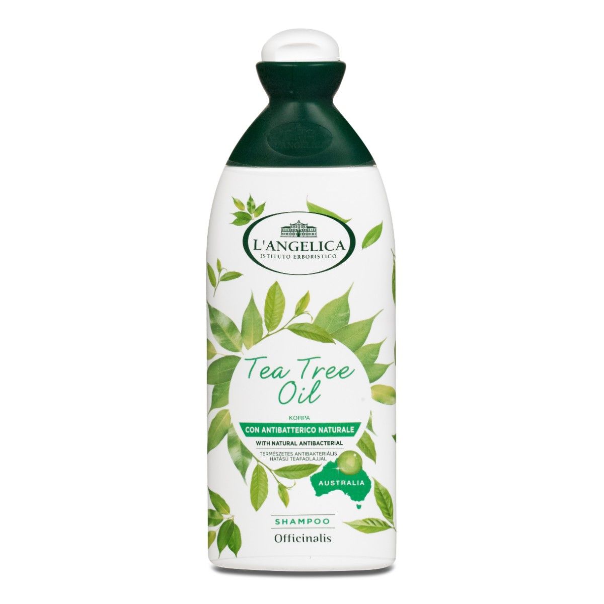 Shampoo Tea Tree Oil con Antibatterico Naturale