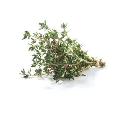 Thyme